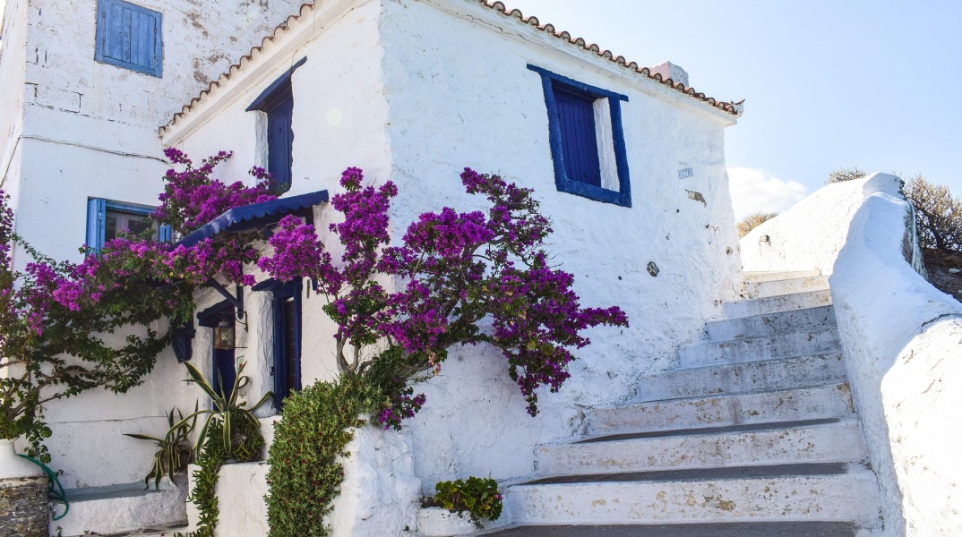 Η Pfizer Hellas για 8η χρονιά υποστηρικτής της Ομάδας Αιγαίου