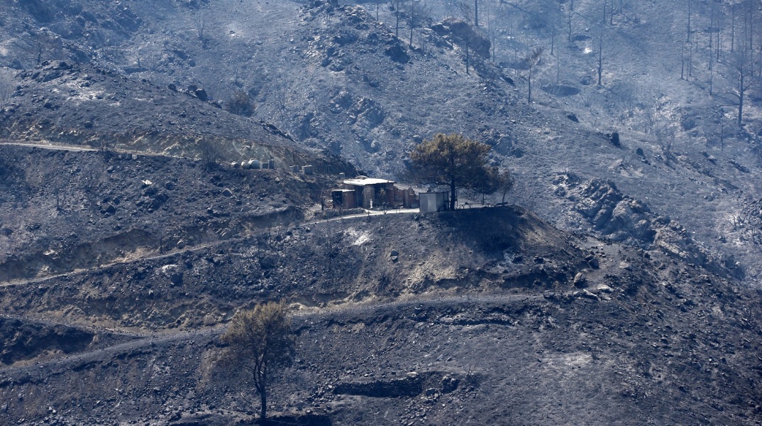 Η Ε.Ε. είναι έτοιμη να παράσχει στον λαό της Κύπρου κάθε είδους βοήθεια, δήλωσε ο πρόεδρος του Ευρωπαϊκού Συμβουλίου, ενώ υπό μερικό έλεγχο τέθηκε η πυρκαγιά