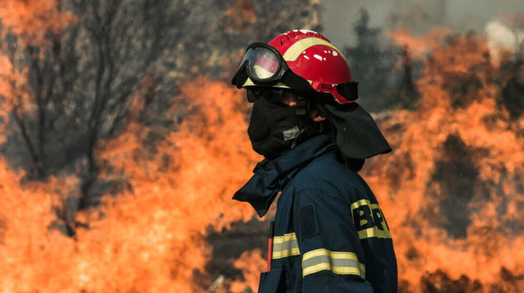 Πυροσβέστης επιχειρεί σε φωτιά (ΦΩΤΟ ΑΡΧΕΙΟΥ) - Σώθηκε το φοινικόδασος στην Πρέβελη, στο Ρέθυμνο Κρήτης