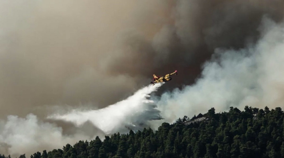 Φωτιά στον Έβρο © EUROKINISSI/ΣΩΤΗΡΗΣ ΔΗΜΗΤΡΟΠΟΥΛΟΣ