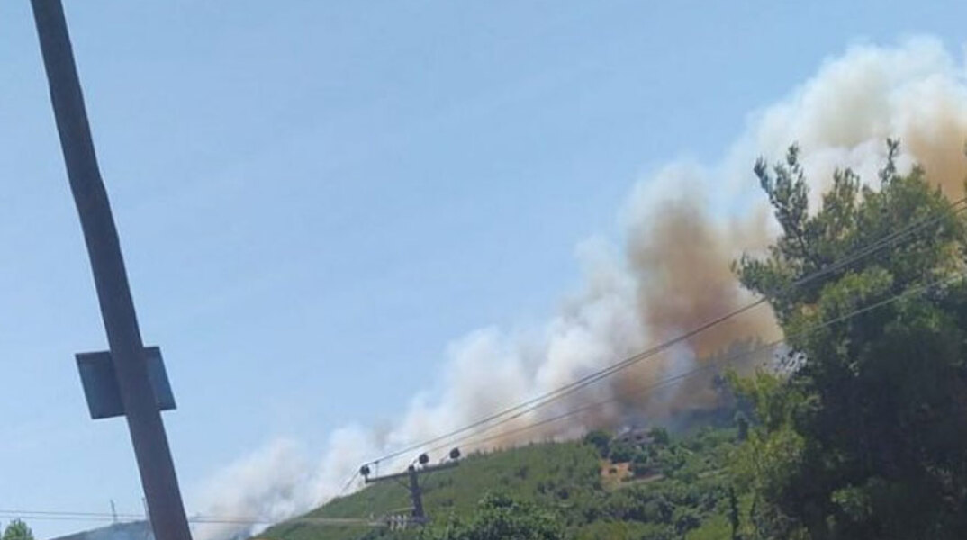 Βαρνάβας: Η φωτιά καίει δάσος, με τους πυροσβέστες να προσπαθούν να ελέγξουν την πυρκαγιά