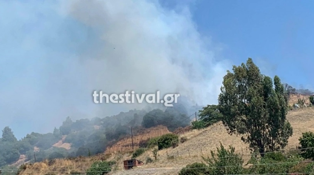 Φωτιά στη Νικήτη Χαλκιδικής