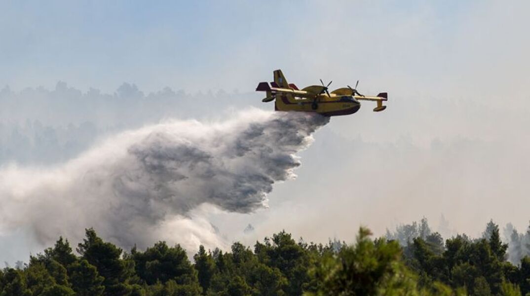 Φωτιά στο Διμήνιο Βόλου (ΦΩΤΟ ΑΡΧΕΙΟΥ) - H φωτιά ξέσπασε σε χαμηλή βλάστηση © EUROKINISSI 
