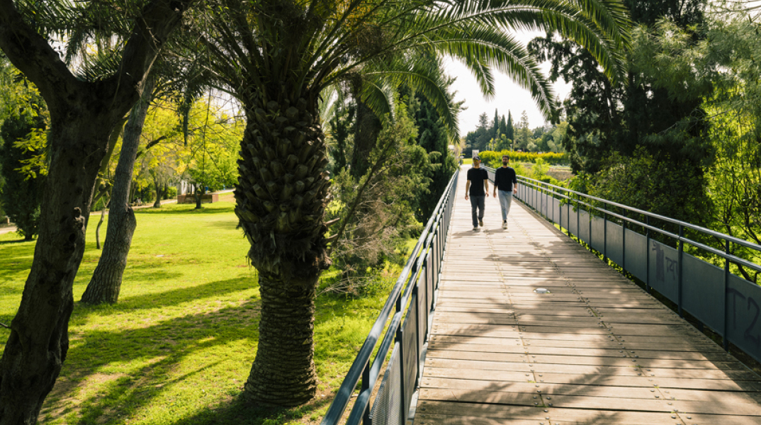 Πανεπιστήμια Κύπρου