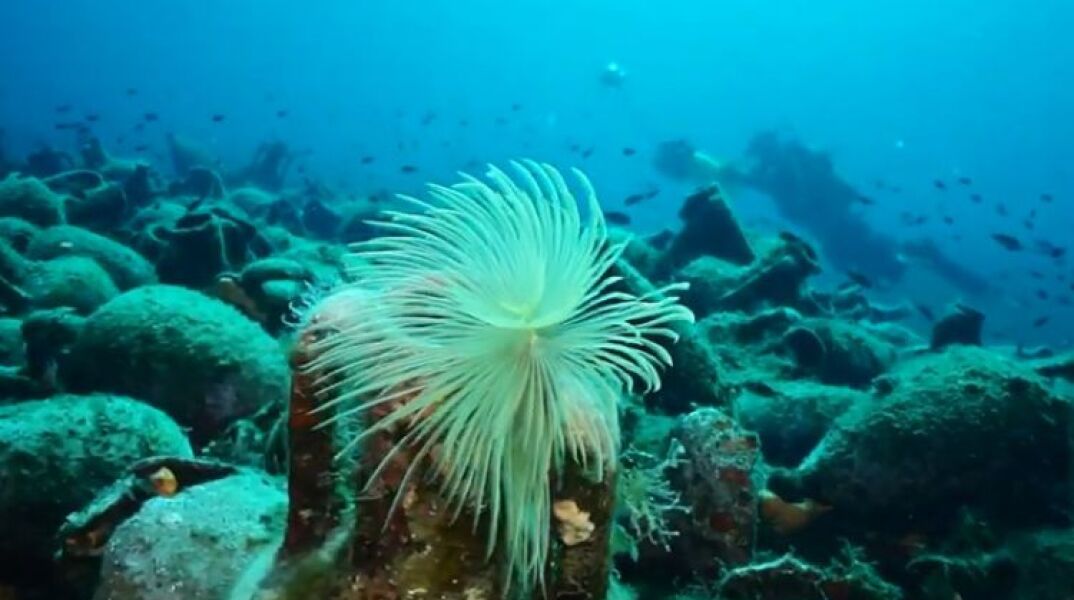 Αλόννησος: Το πρώτο υποβρύχιο μουσείο της Ελλάδας 