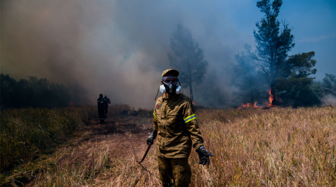 Πυροσβέστης σε αγροτοδασική πυρκαγιά (ΦΩΤΟ ΑΡΧΕΙΟΥ) - Επί ποδός η Πυροσβεστική για τη φωτιά στη Χαλκίδα