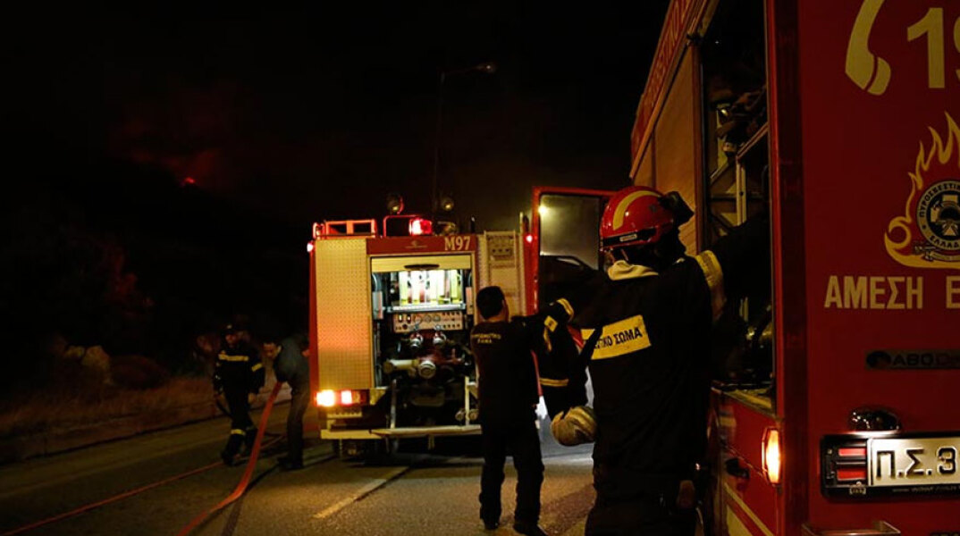 Πυροσβέστες σε δασική πυρκαγιά (ΦΩΤΟ ΑΡΧΕΙΟΥ) - Ολονύχτια η επιχείρηση κατάσβεσης σε Χαλκίδα και Αργολίδα