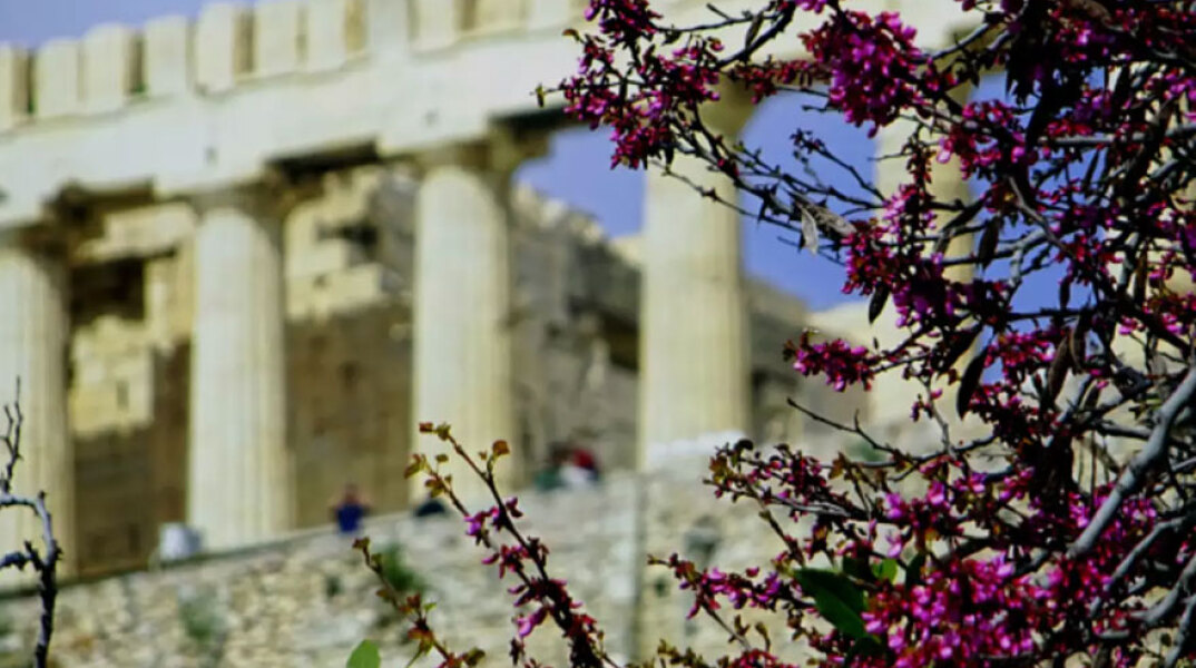 Λουλούδια με φόντο την Ακρόπολη (ΦΩΤΟ ΑΡΧΕΙΟΥ) - Καλός ο καιρός σήμερα Κυριακή 25 Ιουλίου 2021, σύμφωνα με την πρόγνωση της ΕΜΥ