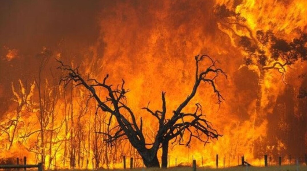 Φωτιά στη Σαρδηνία