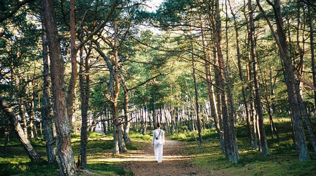 Γυναίκα ντυμένη στα λευκά περπατάει σε μονοπάτι στο δάσος