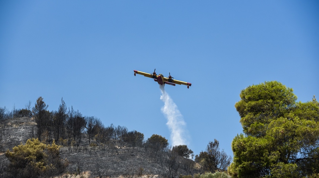 Φωτιά στην Αχαϊα: Καλύτερη η κατάσταση στα Ζήρια -Ενισχύθηκαν τα εναέρια μέσα – Ποια εικόνα παρουσιάζει αυτή τη στιγμή η περιοχή 