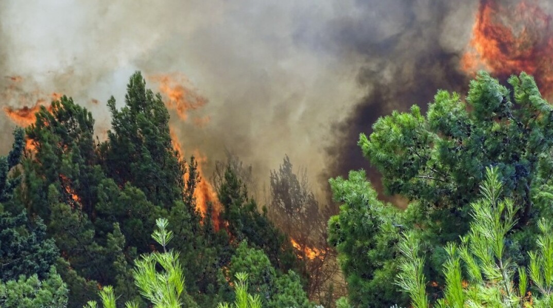 Πυρκαγιά σε δασική έκταση © EUROKINISSI 