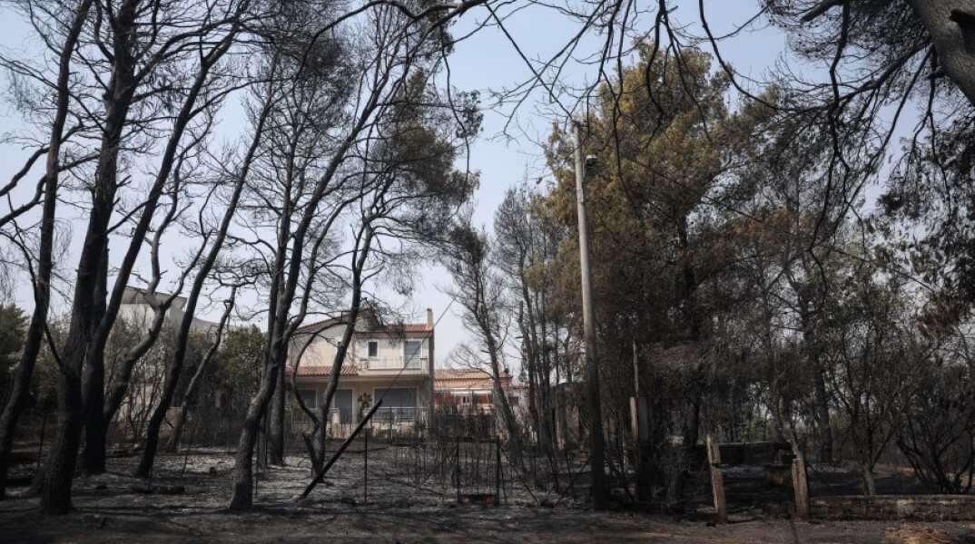 Φωτιά στη Βαρυμπόμπη © EUROKINISSI