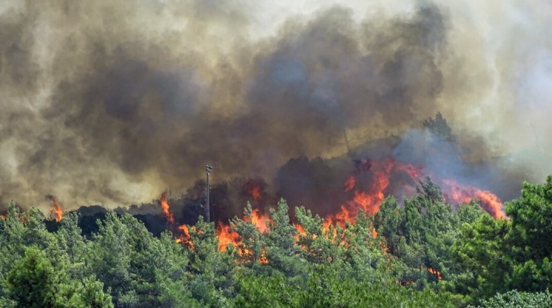 Φωτιά σε δασική περιοχή © Eurokinissi