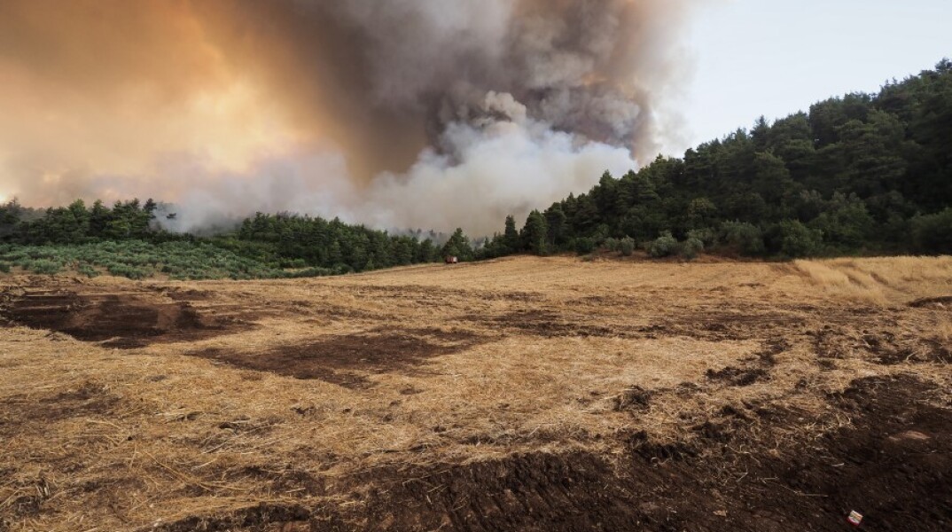 Φωτιά στην Εύβοια - Ανεξέλεγκτα τα πύρινα μέτωπα © EUROKINISSI / ΘΟΔΩΡΗΣ ΝΙΚΟΛΑΟΥ  