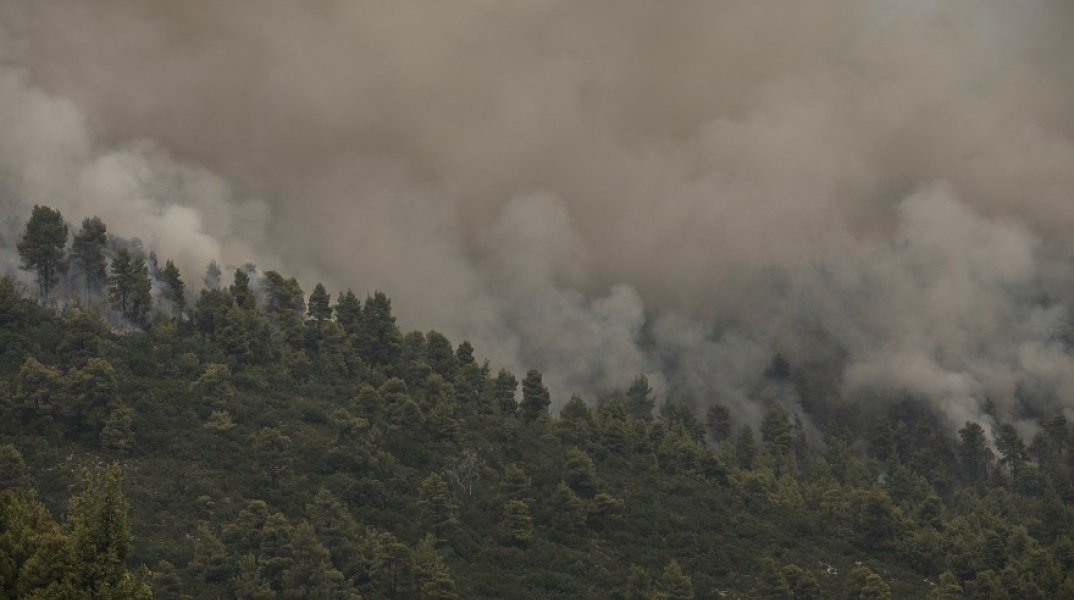 Φωτιά στην Εύβοια - Ανεξέλεγκτο μέτωπο, συνεχείς οι προσπάθειες κατάσβεσης
