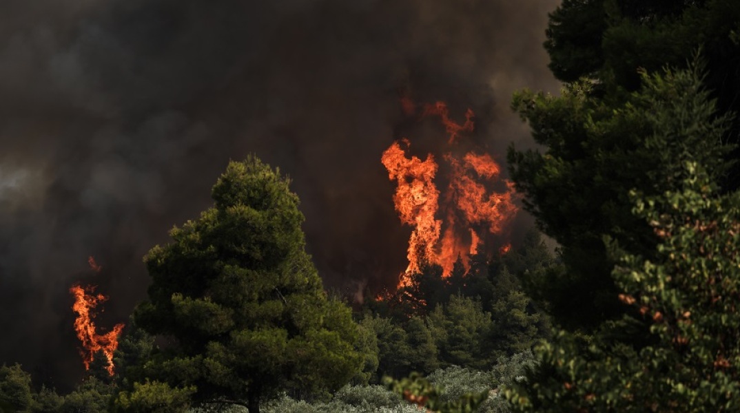 Φωτιά στην Εύβοια - Μαίνεται το πύρινο μέτωπο