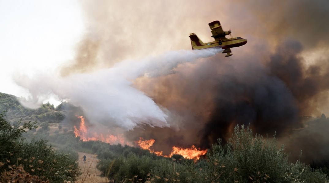Φωτιά στην περιοχή Χελιδόνι στην Ηλεία - Δύσκολη μάχη των πυροσβεστών