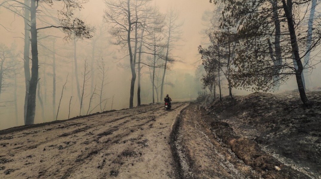 Φωτιά στην Εύβοια © EUROKINISSI