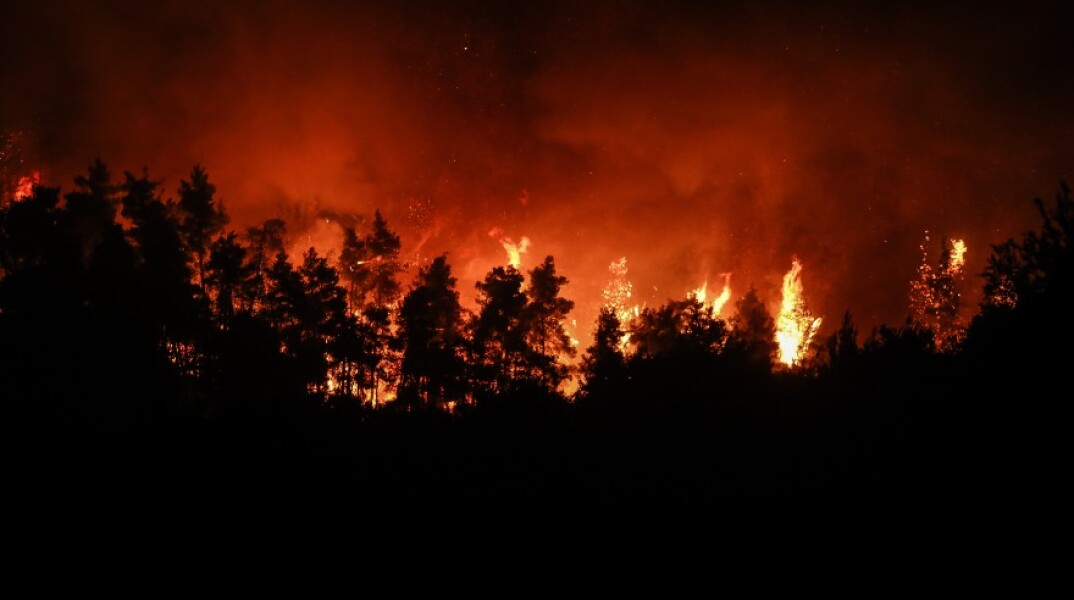 Φωτιά στην Εύβοια