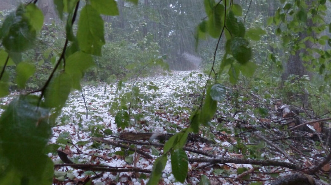 Χαλαζόπτωση (ΦΩΤΟ ΑΡΧΕΙΟΥ) - Στο Έβρο έριξε χαλάζι, την ώρα που πύρινα μέτωπα μαίνονται σε Αττική, Ηλεία, Φωκίδα και Εύβοια
