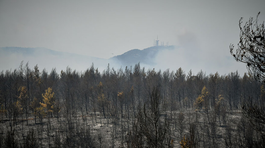 Καμένα στρέμματα από τη φωτιά στην Αττική