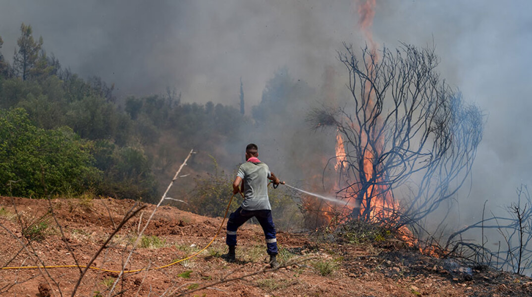 Φωτιά στην Ηλεία: Πυροσβέστης ρίχνει νερό με τη μάνικα σε πυρκαγιά