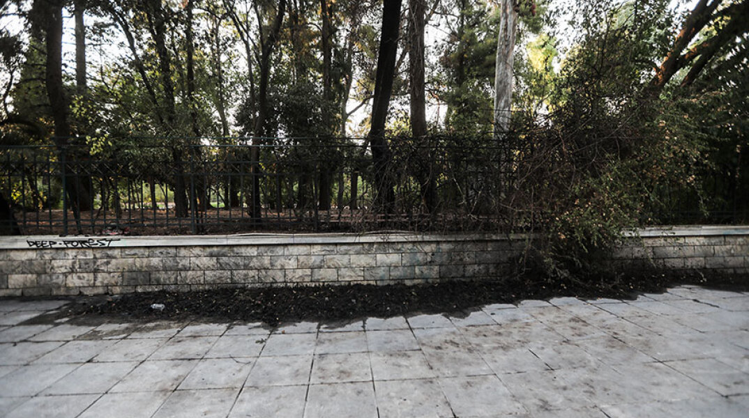 Φωτιά στο Πεδίον του Άρεως - Ποινική δίωξη σε βάρος της γυναίκας που συνελήφθη για εμπρησμό