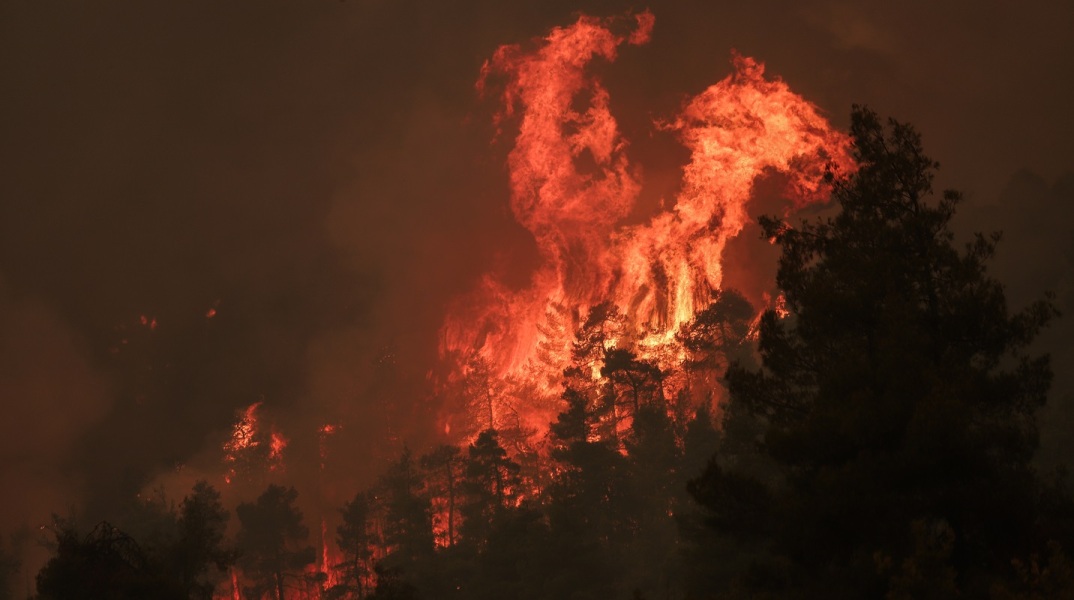 Πυρκαγιά στη Βόρεια Εύβοια, Κυριακή 8 Αυγούστου 2021. Στιγμιότυπο από το χωριό Γούβες