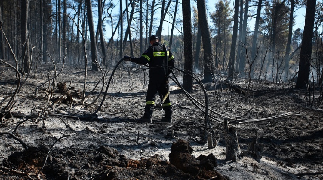 Πάρνηθα: Πυροσβέστης επιχειρεί στα καμένα 