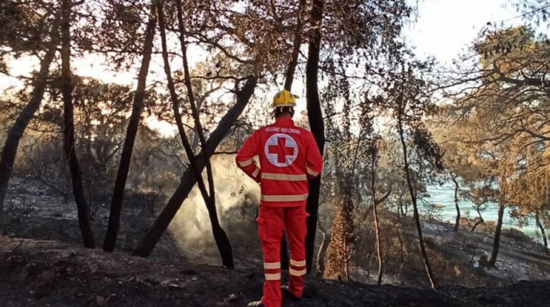 Η Ερυθράς Ημισέληνος των Ηνωμένων Αραβικών Εμιράτων σε συνεργασία με τον Ελληνικό Ερυθρό Σταυρό, στέλνει σημαντική βοήθεια στους πυρόπληκτους © EUROKINISSI