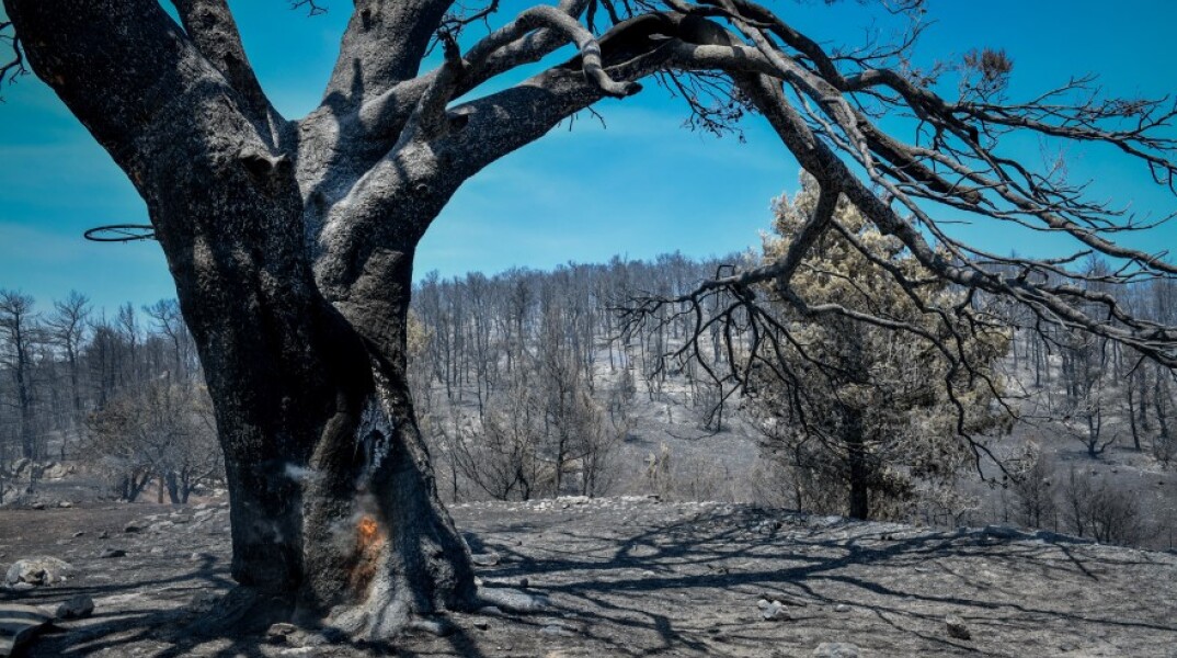 Στιγμιότυπο από τις καταστροφές που προκάλεσε η φωτιά στην Β. Α. Αττική © EUROKINISSI