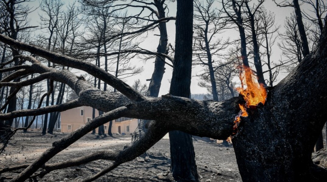 Φωτιά στη Βαρυμπόμπη © EUROKINISSI