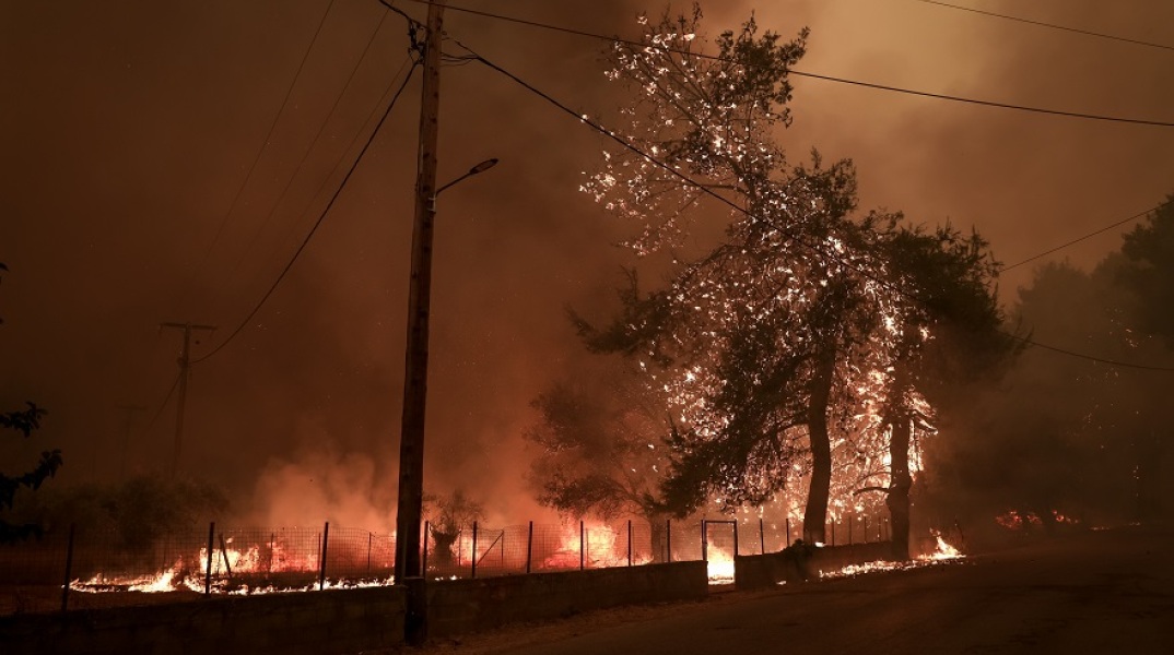 Φωτιά στο Πευκί Ευβοίας