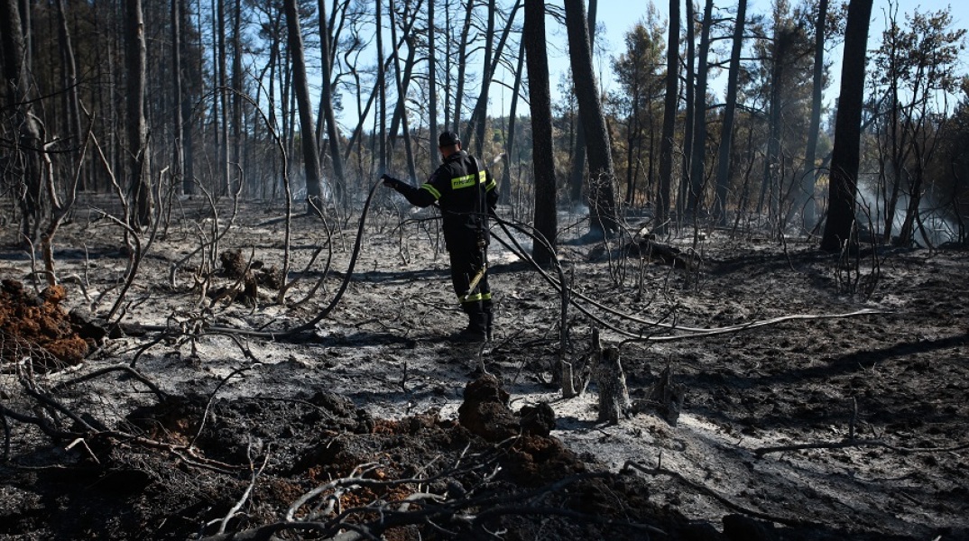 Καμένες εκτάσεις μετά τη φωτιά στη βορειοανατολική Αττική