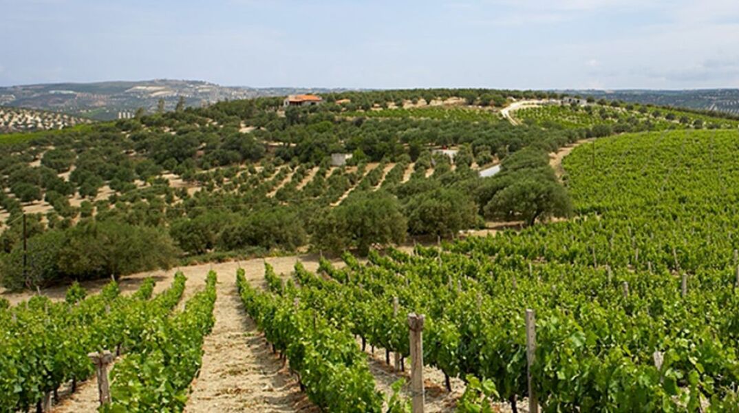 Scalarea Estate, το ιστορικό κτήμα Μπουτάρη στην Κρήτη