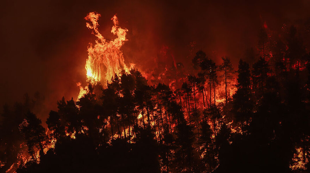 Φωτιά στην Εύβοια: Ολόκληρη πλαγιά παραδομένη στις φλόγες