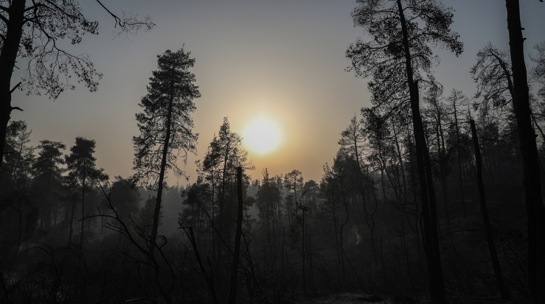 Φωτιές στην Εύβοια: Σε ύφεση τα πύρινα μέτωπα
