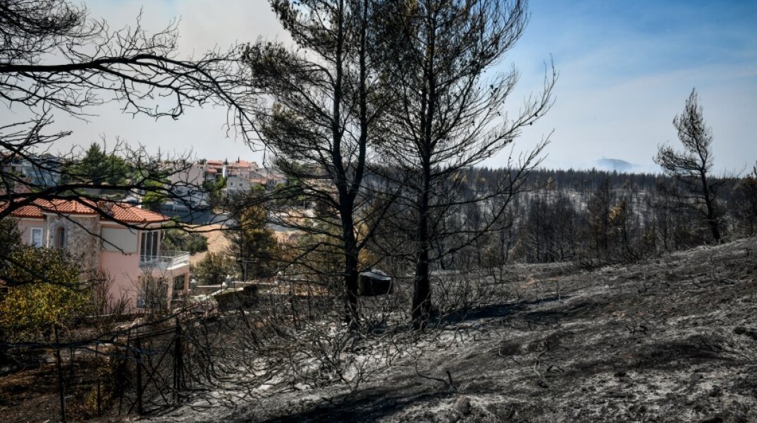 Φωτιά στη Βαρυμπόμπη © EUROKINISSI