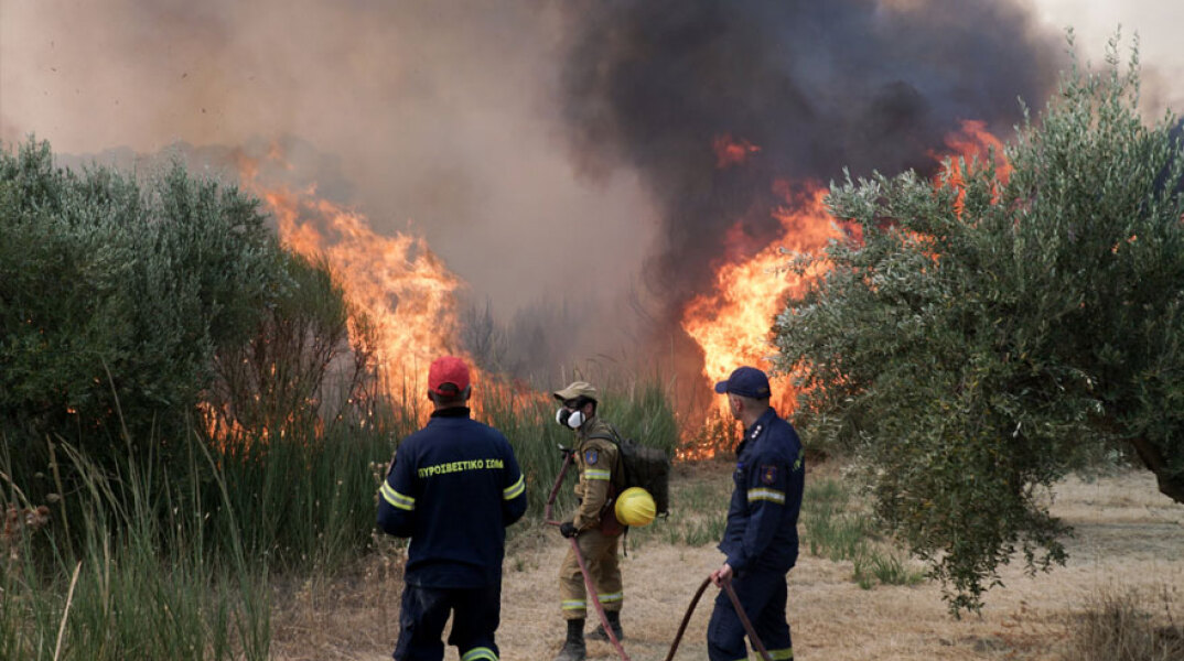 Πυροσβέστες σε δασική πυρκαγιά - Στην Εύβοια η νέα φωτιά που ξέσπασε, οδηγήσε σε προληπτική εκκένωση του οικισμού Μεσοχώρια