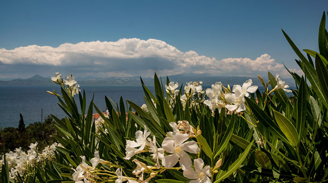 Σύννεφα σε παραλία - Ο καιρός σήμερα Σάββατο 14 Αυγούστου έχει ηλιοφάνεια και βροχές