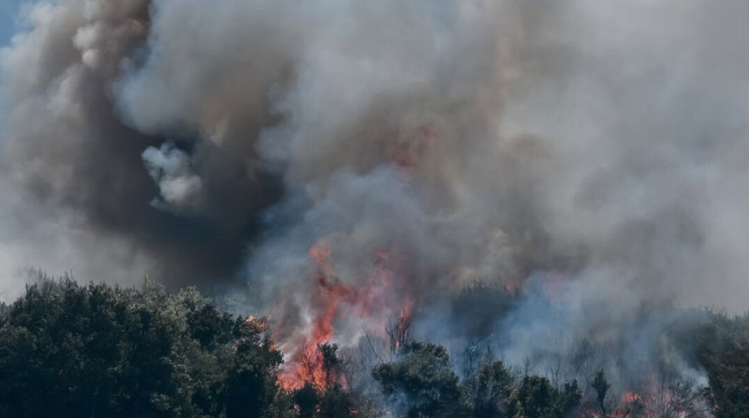 Φωτιά καίει δάσος - Η πυρκαγιά στα Βίλια οδήγησε σε νέα εκκένωση οικισμών