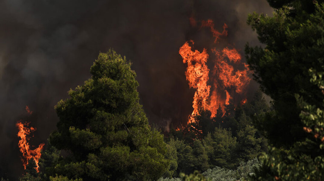 Δασική πυρκαγιά (ΦΩΤΟ ΑΡΧΕΙΟΥ) - Σχηματίστηκε δικογραφία για εμπρησμό σε βάρος 57χρονης στη Ρόδο