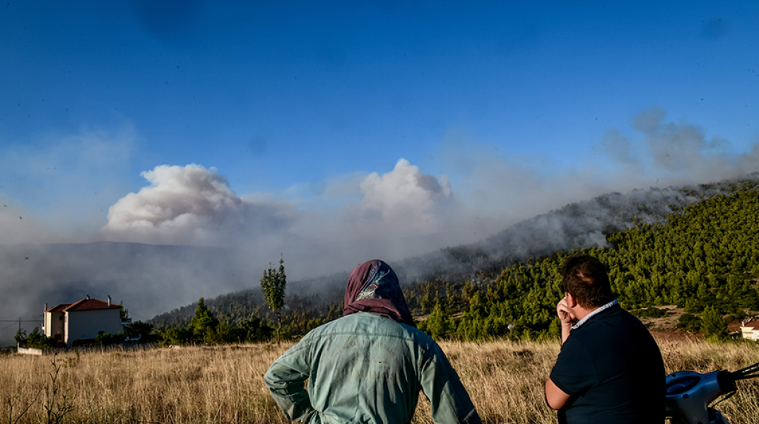 Πυρκαγιές και επιτελικό κράτος