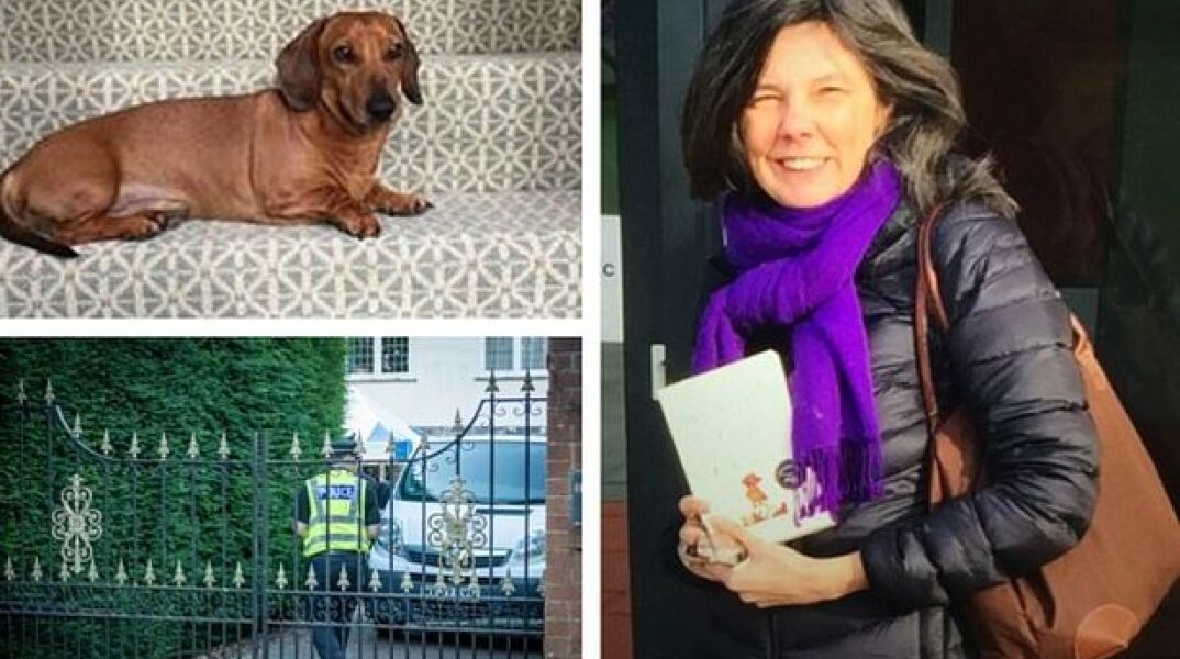 Έλεν Μπέιλι: Η συγγραφέας, ο πνιγμός του άντρα της και ο φονικός νέος έρωτας με ένα ναρκισσιστή απατεώνα.