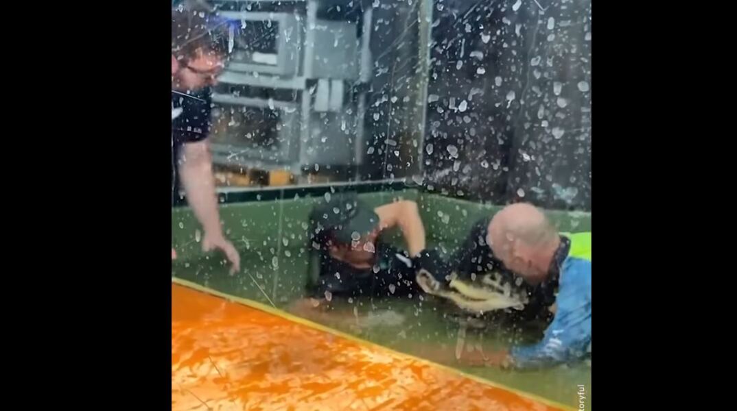 Αλιγάτορας επιτέθηκε σε εκπαιδεύτριά του στη Γιούτα