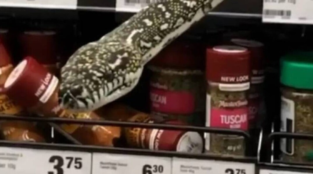 Φίδι σε σούπερ μάρκετ στο Σίδνεϊ