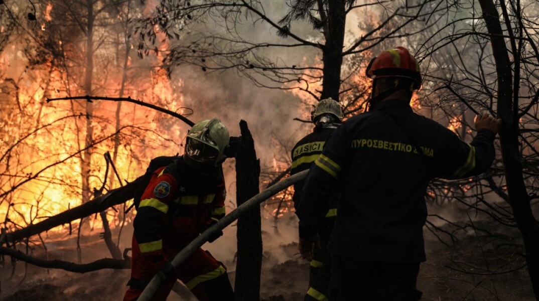 Φωτιά στα Βίλια © EUROKINISSI