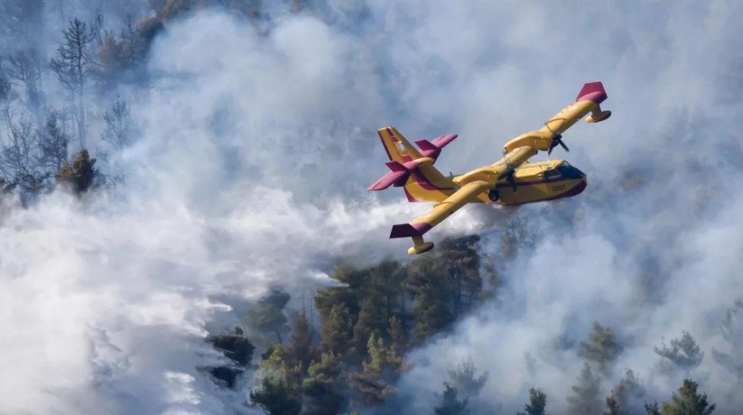 Φωτιά στα Βίλια © EUROKINISSI