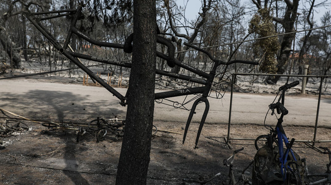 Εικόνες καταστροφής στην Εύβοια μετά τη φωτιά - Στη «Διαύγεια» όλα τα μέτρα για την εργασία